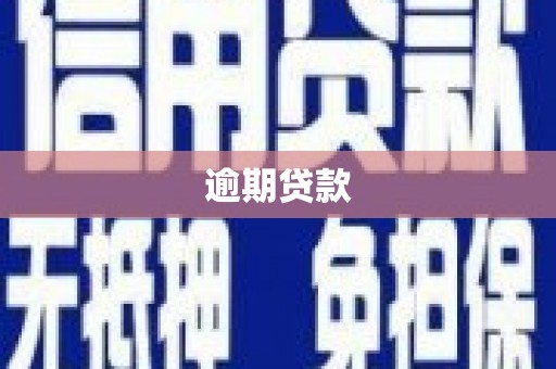 安仁逾期贷款