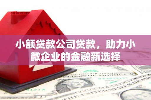 安仁小额贷款公司贷款，助力小微企业的金融新选择