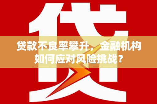 安仁贷款不良率攀升，金融机构如何应对风险挑战？