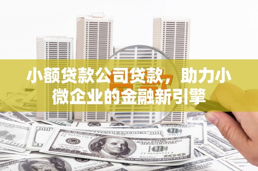 安仁小额贷款公司贷款，助力小微企业的金融新引擎