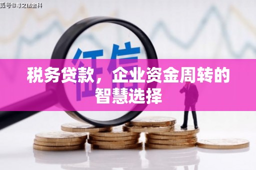 安仁税务贷款，企业资金周转的智慧选择