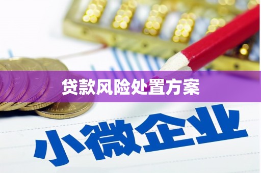 安仁贷款风险处置方案