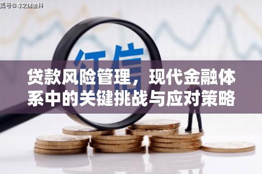 安仁贷款风险管理，现代金融体系中的关键挑战与应对策略