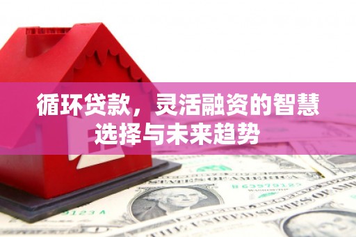安仁循环贷款，灵活融资的智慧选择与未来趋势