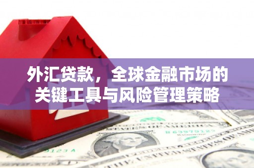 安仁外汇贷款，全球金融市场的关键工具与风险管理策略
