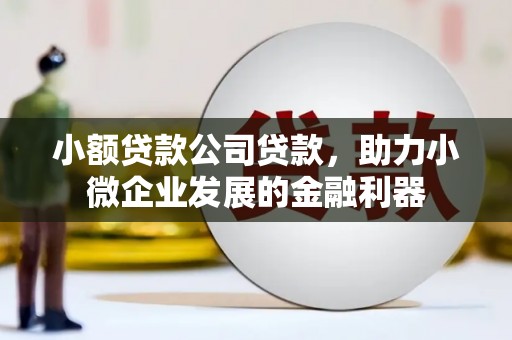 安仁小额贷款公司贷款，助力小微企业发展的金融利器