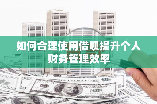 安仁如何合理使用借呗提升个人财务管理效率