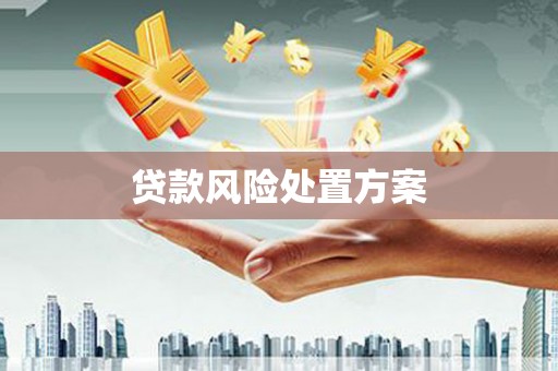 安仁贷款风险处置方案