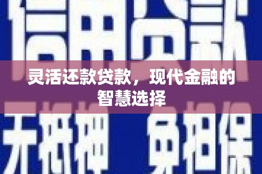 安仁灵活还款贷款，现代金融的智慧选择