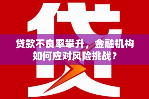 安仁贷款不良率攀升，金融机构如何应对风险挑战？