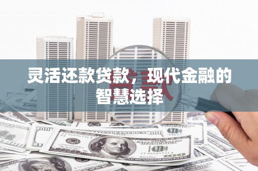 安仁灵活还款贷款，现代金融的智慧选择