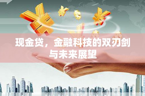 安仁现金贷，金融科技的双刃剑与未来展望