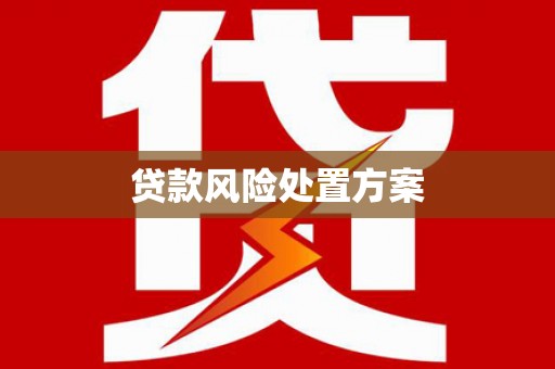 安仁贷款风险处置方案