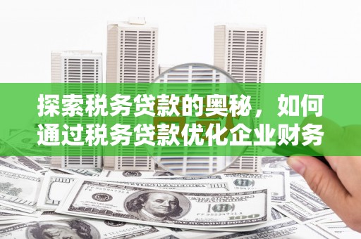 安仁探索税务贷款的奥秘，如何通过税务贷款优化企业财务