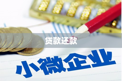 安仁贷款还款