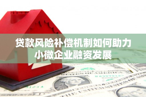 安仁贷款风险补偿机制如何助力小微企业融资发展