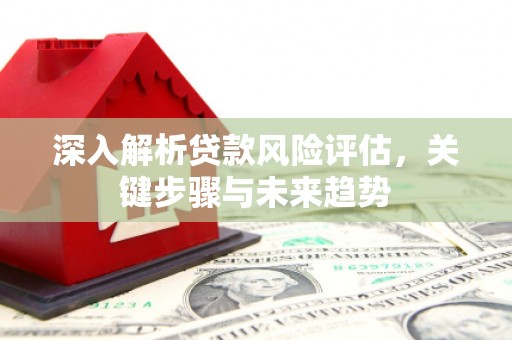 安仁深入解析贷款风险评估，关键步骤与未来趋势