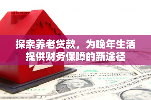 安仁探索养老贷款，为晚年生活提供财务保障的新途径