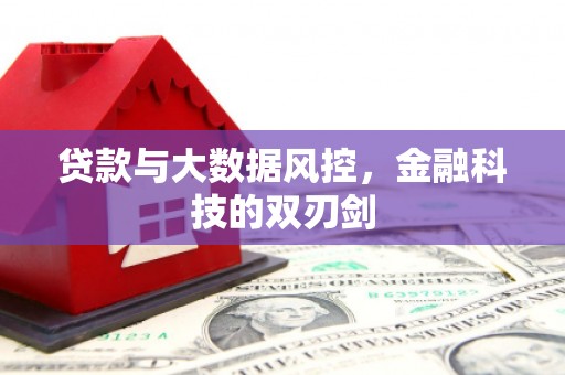 安仁贷款与大数据风控，金融科技的双刃剑