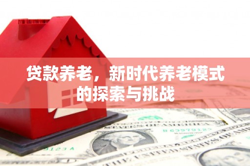 安仁贷款养老，新时代养老模式的探索与挑战