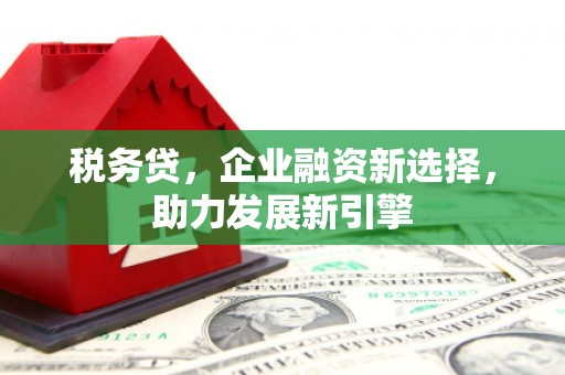安仁税务贷，企业融资新选择，助力发展新引擎
