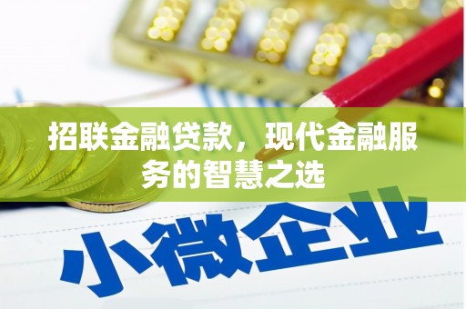 安仁招联金融贷款，现代金融服务的智慧之选