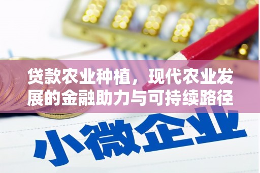 安仁贷款农业种植，现代农业发展的金融助力与可持续路径