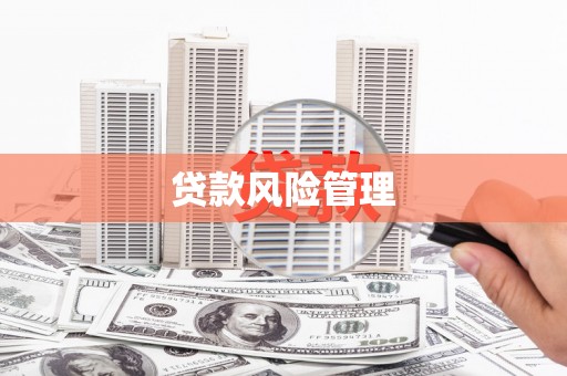 安仁贷款风险管理