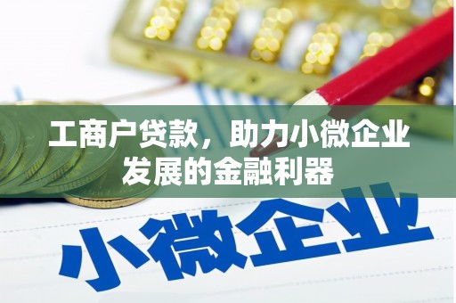 安仁工商户贷款，助力小微企业发展的金融利器