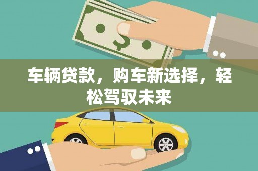 安仁车辆贷款，购车新选择，轻松驾驭未来
