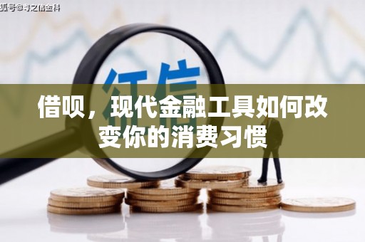 安仁借呗，现代金融工具如何改变你的消费习惯