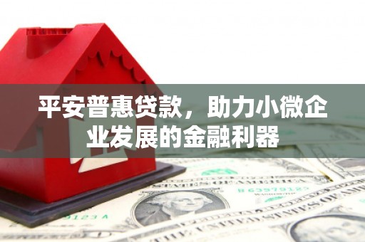 安仁平安普惠贷款，助力小微企业发展的金融利器