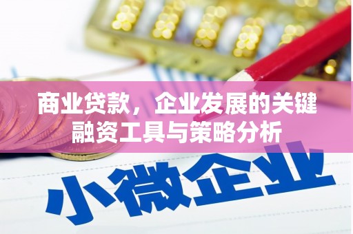 安仁商业贷款，企业发展的关键融资工具与策略分析