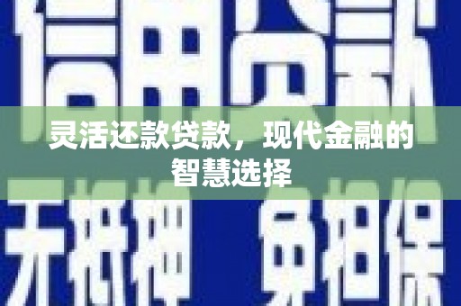 安仁灵活还款贷款，现代金融的智慧选择