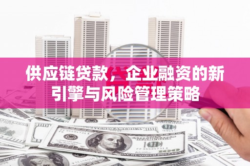 安仁供应链贷款，企业融资的新引擎与风险管理策略