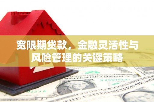 安仁宽限期贷款，金融灵活性与风险管理的关键策略
