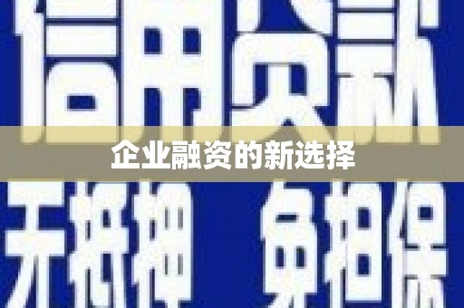 安仁企业融资的新选择
