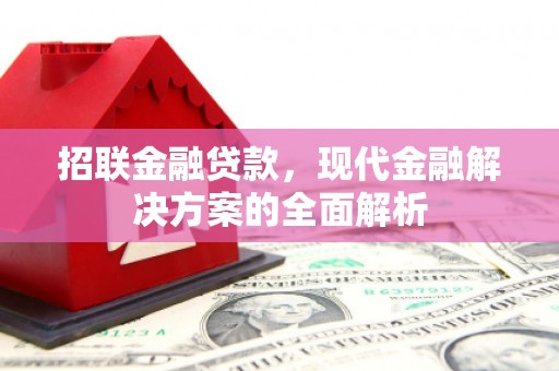 安仁招联金融贷款，现代金融解决方案的全面解析