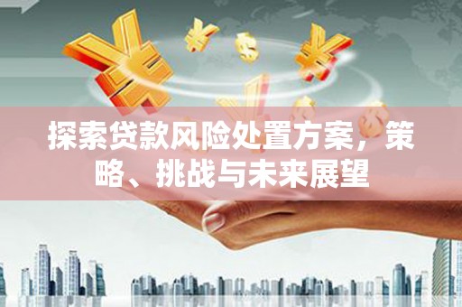 安仁探索贷款风险处置方案，策略、挑战与未来展望