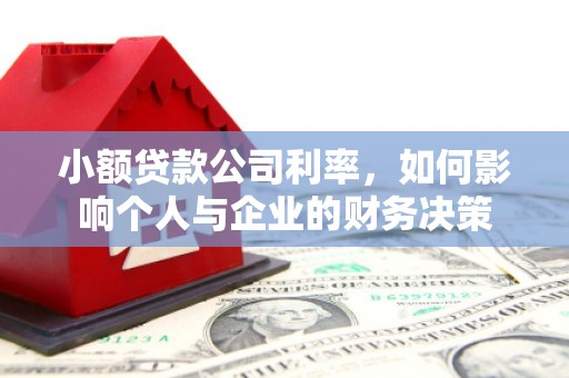 安仁小额贷款公司利率，如何影响个人与企业的财务决策