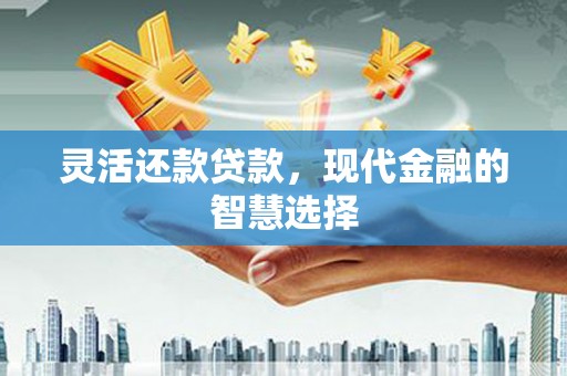 安仁灵活还款贷款，现代金融的智慧选择