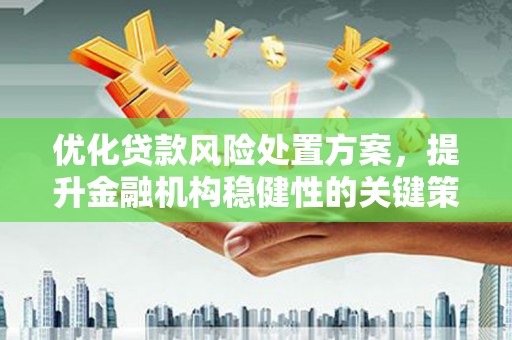 安仁优化贷款风险处置方案，提升金融机构稳健性的关键策略