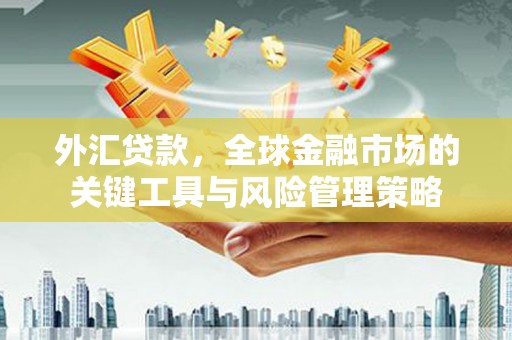 安仁外汇贷款，全球金融市场的关键工具与风险管理策略