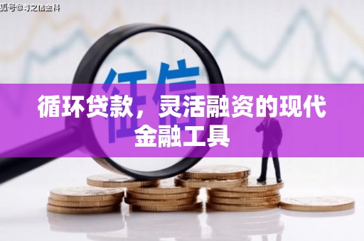 安仁循环贷款，灵活融资的现代金融工具