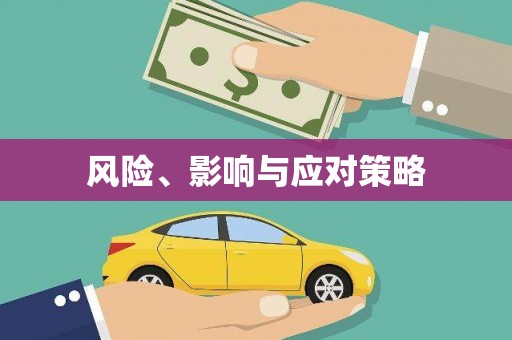 安仁风险、影响与应对策略