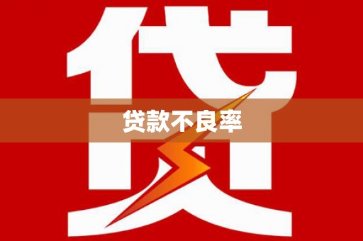 安仁贷款不良率