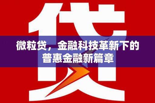 安仁微粒贷，金融科技革新下的普惠金融新篇章
