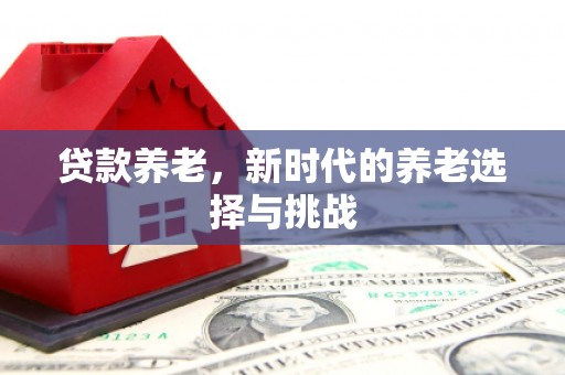 安仁贷款养老，新时代的养老选择与挑战