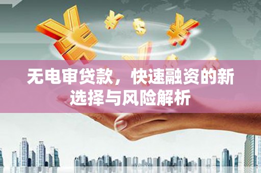安仁无电审贷款，快速融资的新选择与风险解析