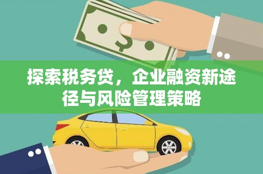 安仁探索税务贷，企业融资新途径与风险管理策略